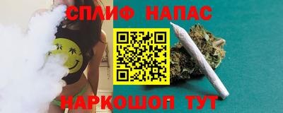 СК Тара