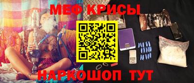 СК Тара