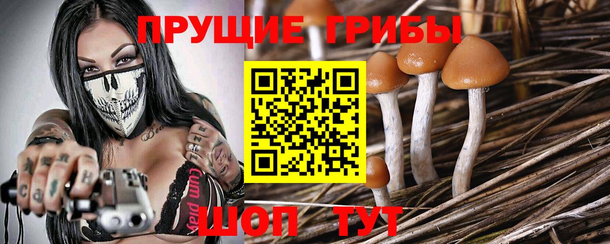 купить закладку  Галлюциногенные грибы Psilocybine cubensis  Вход с VPN  Псилоцибиновые грибы мухоморы  Рассказово 